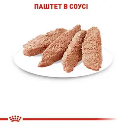 Вологий корм для дорослих стерилізованих кішок Royal Canin Sterilised Loaf паштет 85 г - мініатюра 3