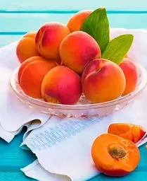 Саджанець Agro-Market Абрикос Робада (літній сорт, ранній термін дозрівання) (39862) 1 шт. в упаковці - мініатюра 3