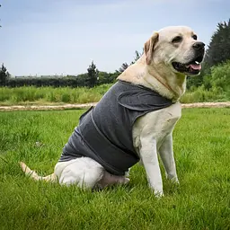 Заспокійливий жилет для собак WanTalk Dog Anxiety Jacket, Dark Grey - мініатюра 5