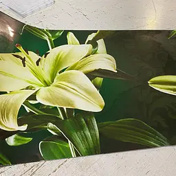 Декоративна 3Д наклейка на холодильник Бежеві Лілії вінілова Квіти Зелений 65х200 см Happy Pocket Z182064 - мініатюра 4