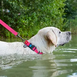 Нашийник для собак водостійкий Waudog Waterproof з QR-паспортом пластикова пряжка-фастекс Ш 25 мм Д 38-58 см рожевий - мініатюра 5