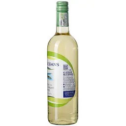 Вино Two Oceans Fresh and Fruity біле напівсухе 11.5% 0.75 л - мініатюра 4