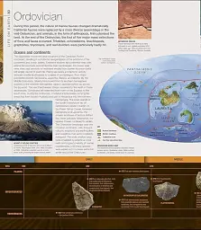 Dinosaurs and Prehistoric Life. The Definitive Visual Guide - мініатюра 3