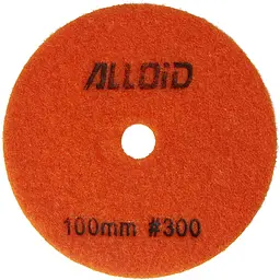 Круг алмазний Alloid Pro шліфувальний на липучці 100 мм, зерно 300 (DD-63287)