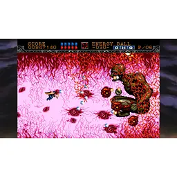 Ключ активації Microsoft Gleylancer and Gynoug: Classic Shmups Pack для Xbox One/Series S/X - мініатюра 6