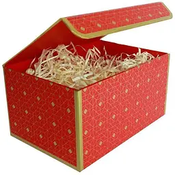 Подарункова коробка True червона із золотим геометричним малюнком L 25.3×18×13.5 см - мініатюра 2