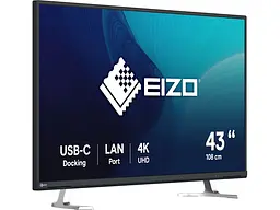 Монітор Eizo FlexScan Black (EV4340X-BK) - мініатюра 2