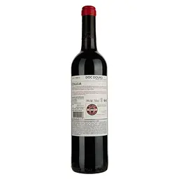 Вино Azul Portugal Colleja Tinto, червоне, сухе, 0,75 л (ALR16109) - мініатюра 2