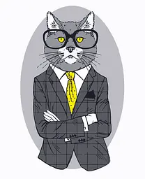 Картина за номерами Rosa Start Fashion Cat 35x45 см