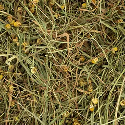 Травʼяне сіно для гризунів із сушеною ромашкою такульбабою Deli Nature Rodelicious Herbal HayDaisy&Dandelion - мініатюра 2