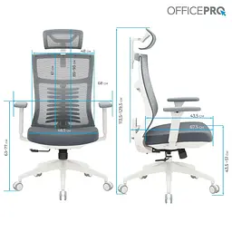 Офісне крісло OfficePro Balance OC550-W-DG-OR (OC550-W-DG-OR) - мініатюра 12