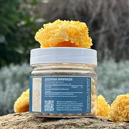Тремела Лісовик Tremella fuciformis 60 капсул - мініатюра 2