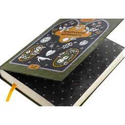 Книга Зачаровані музиканти - Галина Пагутяк (524828) - мініатюра 2