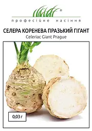 Насіння селери кореневої Празький Гігант 0.03 г (Професійне насіння)