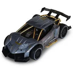 Машинка на радіокеруванні "Extreme Ricing" SL-8212ARHS, світло