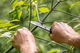 Neo Tools 63-108 Ніж тактичний, 22см, лезо 10.8см, 3Cr13, нейлоновий чохол - мініатюра 4