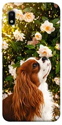 TPU чохол Demsky Flower spaniel для Samsung Galaxy A10 (A105F)
