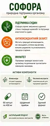 Софора японська екстракт 400 мг, 60 капсул — при важкості в ногах і сидячій роботі для підтримки судин, з рутином, BEKANDZE - мініатюра 4
