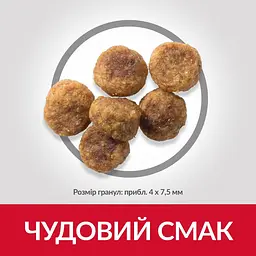 Сухий корм Hill’s SP Adult Small&Mini для дорослих собак малих і міні порід з ягням і рисом 6 кг - мініатюра 4
