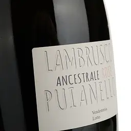 Вино ігристе Puianello Ancestrale Lambrusco dell'Emilia IGT рожеве сухе 0.75 л - мініатюра 3