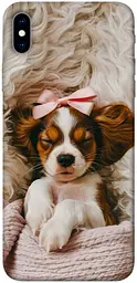 TPU чохол Demsky Sleepy spaniel для Apple iPhone XS Max (6.5")