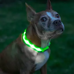 Нашийник  UFT PET LED 1 з підсвічуванням на батарейках для собак M Green - мініатюра 2