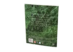 Studio 101 Настільна рольова гра Вампіри: Маскарад. Прах до праху (Vampire: The Masquerade. Dust to dust) (27037) - мініатюра 3