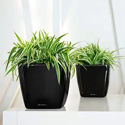 Вазон Lechuza Quadro Premium LS, 4 л, білий (16120) - мініатюра 5
