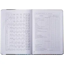 Щоденник шкільний ZiBi Silver В5 48 аркушів срібний (ZB.13214-24) - мініатюра 9