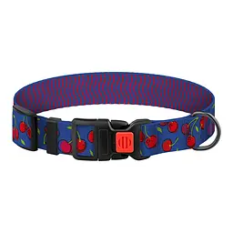 Нашийник для собак BronzeDog Urban Fruits XL - мініатюра 2