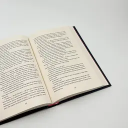 П`ятеро - Ґай Морпасс | Книголав, книга українською, нова, тверда - мініатюра 3