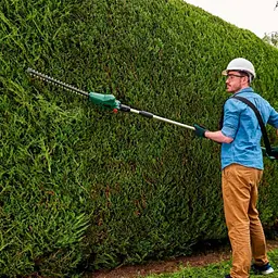 Кущоріз акумуляторний Bosch UniversalHedgePole 18 AL18V-20 (0.600.8B3.000) - мініатюра 3