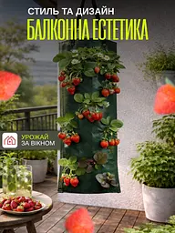 Підвісна вертикальна грядка на 10 кишень (3 шт.) - мініатюра 5