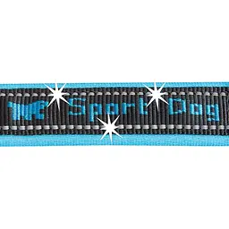 Нашийник для собак Ferplast Sport Dog С20/43 блакитний нейлоновий 2х33-43 см 78003925 - мініатюра 3