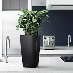 Вазон Lechuza Cubico Premium 22 антрацит (18463) - мініатюра 4
