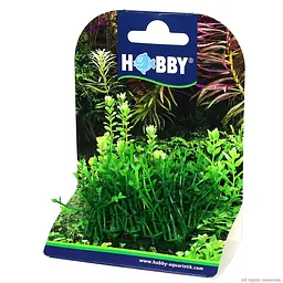 Штучна рослина Hobby Plant Pad 1 7x4,5x5,5 см (51551) - мініатюра 5