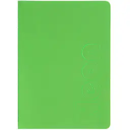 Книга записна Buromax Neon А5 80 аркушів у клітинку обкладинка PVC зелена (BM.24822180-04)