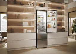 Холодильник Haier (HTW5620DNMG) - мініатюра 10