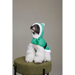 Попона для собак Pet Fashion Santa XS зелена - мініатюра 5