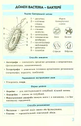 Біологія у визначеннях, таблицях і схемах. 6-11 клас - Ксенія Зайцева - мініатюра 6