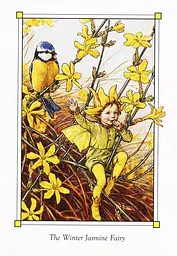 Flower Fairies of the Winter - мініатюра 8
