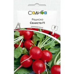 Редис Садиба Селеста F1 2 г