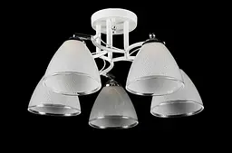 Люстра Splendid Ray L07410/5, 5 ламп E27, білий хром, сучасний стиль