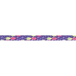 Шнур Beal 2 мм Violet (1046-BC02.120.V)