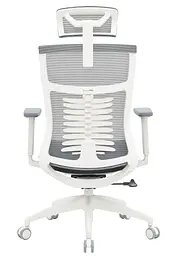 Офісне крісло OfficePro Balance OC550-W-DG-OR (OC550-W-DG-OR) - мініатюра 4