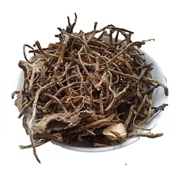 Чемериця Лобеля Корінь Чемірник Чемера Veratrum lobelianum