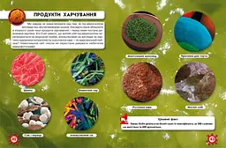 Фотоенциклопедія Кристал Бук Світ навколо нас Мікросвіт (F00020425) - мініатюра 3