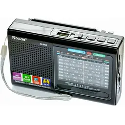 Радіоприймач акумуляторний чорний колонка з радіо FM USB MicroSD Golon RX-6622
