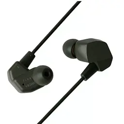 Навушники Final Audio VR2000 Black (90403551) - мініатюра 1