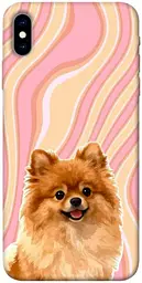 TPU чохол Demsky Pastel spitz для Apple iPhone X (5.8")